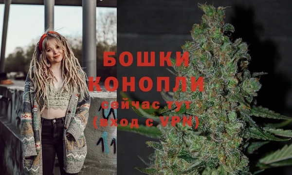 каннабис Беломорск