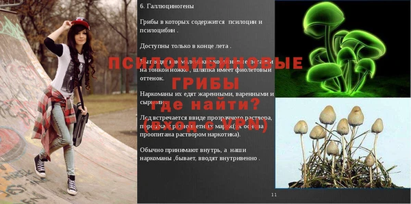 каннабис Беломорск