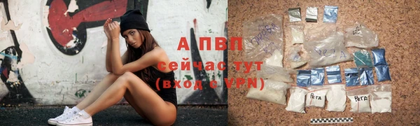 гашик Белоозёрский