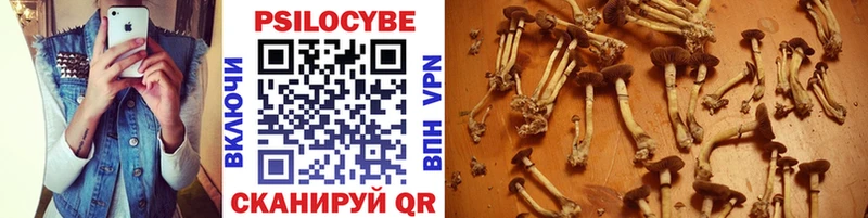 где купить Вельск Галлюциногенные грибы GOLDEN TEACHER